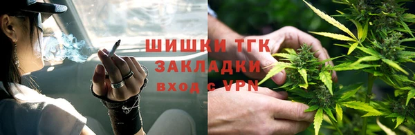 мдпв Богородск