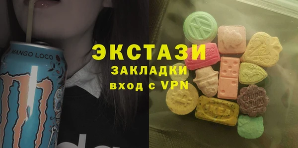 гидра Богданович
