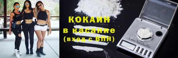 гидра Богданович