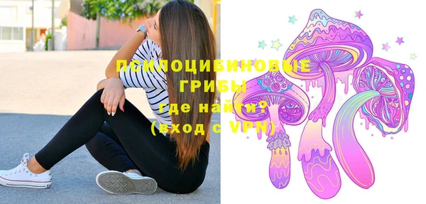 мдпв Богородск
