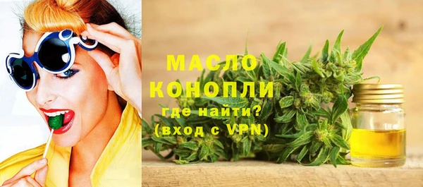 гидра Богданович