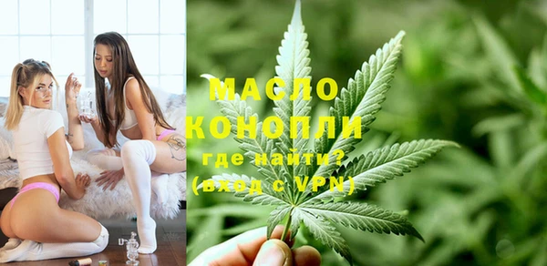 гидра Богданович