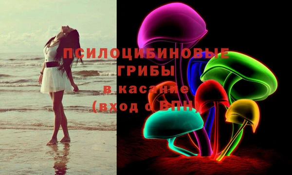 гидра Богданович