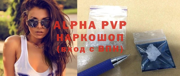 гидра Богданович